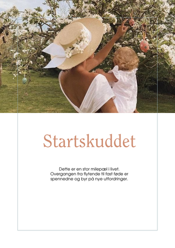 Startskuddet E-bok