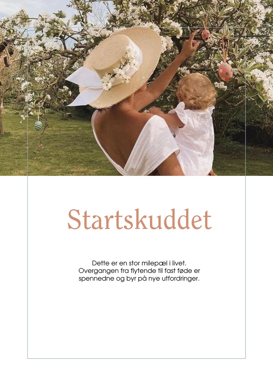 Startskuddet E-bok
